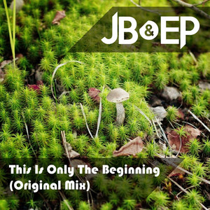 This Is Only the Beginning - Original Mix