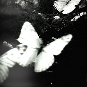 XXKATUSJINSUX - Trillium (Slowed)