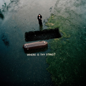 Where Nothing Is Missing by Mercy