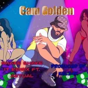 Portada de Shake It (Remix)