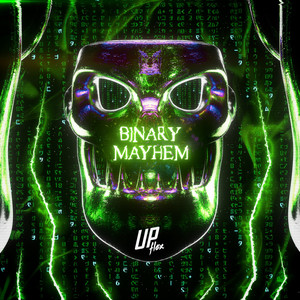 Binary Mayhem