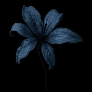 Stay with me by KAMIL