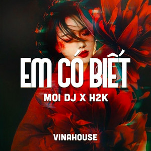 Em Có Biết (Vinahouse) by 1 9 6 7, H2K