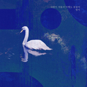 사랑이 서툴러 이별도 몰랐어 (Instrumental)