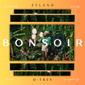 Bonsoir by Zyland