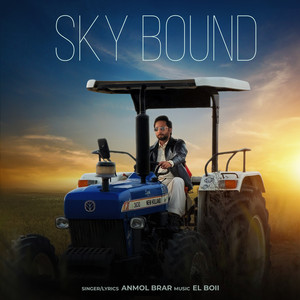 Sky Bound by Anmol Brar