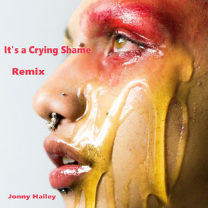 it's a crying shame - remix