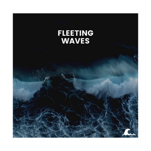 Fleeting Waves album