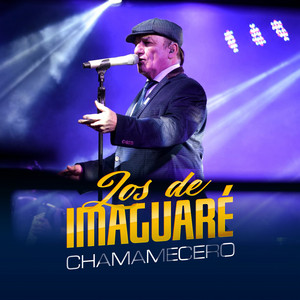 Los De Imaguaré - Chamamecero