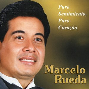 Ingrata Con Mi Amor by Marcelo Rueda