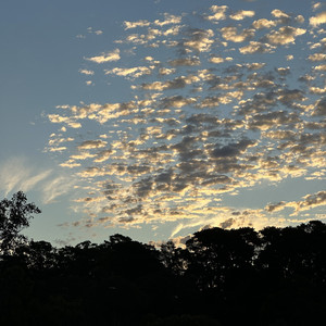 morning star by Twinkling Tunes