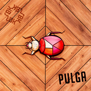Pulga