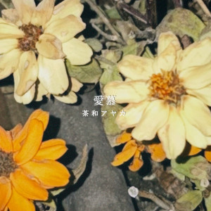 Sana Ayaka - Adoration