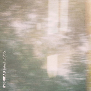 hybridas - Bird, Birds