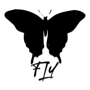 Fly