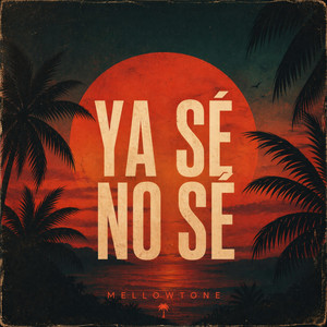 YA SE NO SE by mellowtone