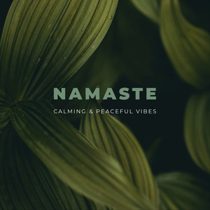 Spirit by CALMING & PEACEFUL VIBES