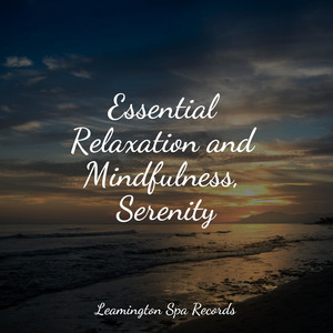 Essential Relaxation and Mindfulness, Serenity album