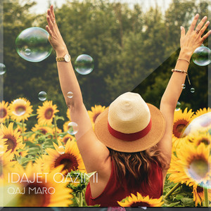 Idajet Qazimi - Valle Malanake