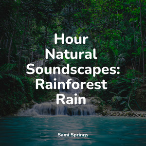 Hour Natural Soundscapes: Rainforest Rain album