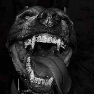 Pitbull Terrier - Tiktok Version by thatboyluka