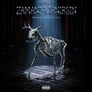 Zamanla Tanırsın by Dankor
