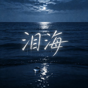 泪海 (你怎么舍得让我的泪流向海) by 王晴