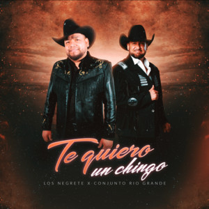 Los Negrete - Te Quiero un Chingo (feat. Conjunto Río Grande)