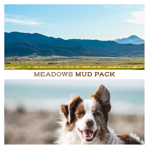 Meadows by Mud Pack