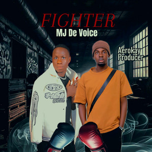 MJ De Voice - Fighter