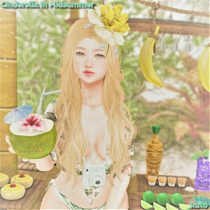 Cinderella In Midsummer by Ruto