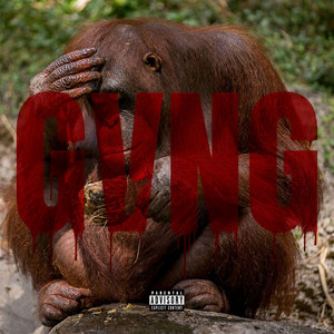 GVNG by Sdeux