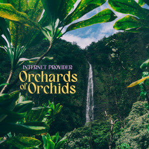 Orchard of Orchids