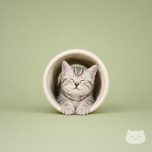 Peachy Paws by Pawly