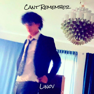 Cant Remember by Linov