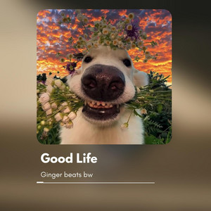 Ginger Beats Bw - Good Life