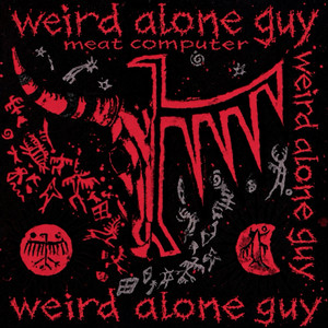 i think im going crazy by meat computer
