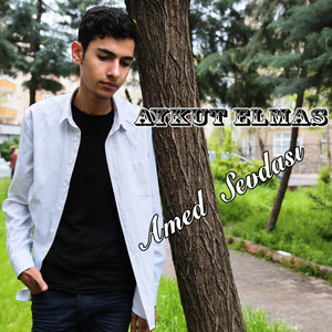 Amed Sevdası