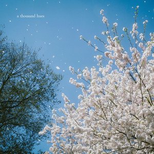 a thousand hues by Elysia