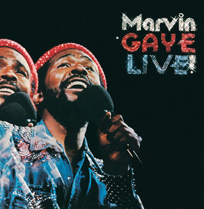 ミュージック man LIVEDVD