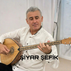 BİRYAR MUZİK - GULE