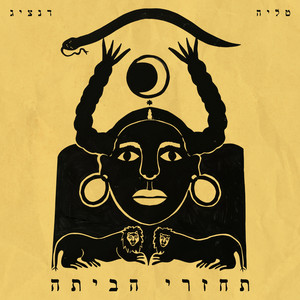 הלוואי שיכולתי by טליה דנציג