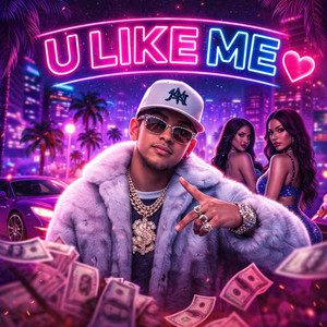 U Like Me by Villa Trapper