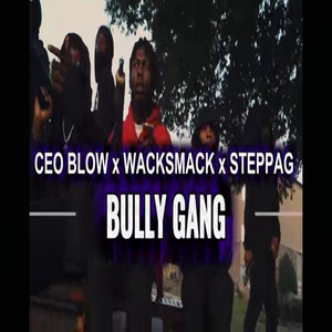 Bully Gang by SteppaG, CEO Blow, WackSmack