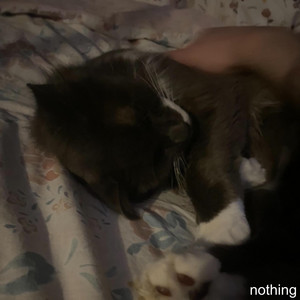 nothing