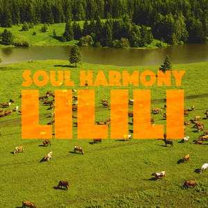 LiLiLi by Soul Harmony