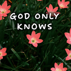 God Only Knows - Acoustic Instrumental by CallumMcGaw
