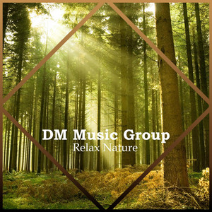 Spiral Group - Relax Forest