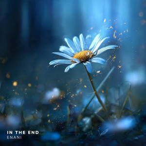 In The End by Enani