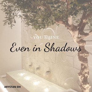 YOU SHINE Ever in Shadows by MISI CATDM